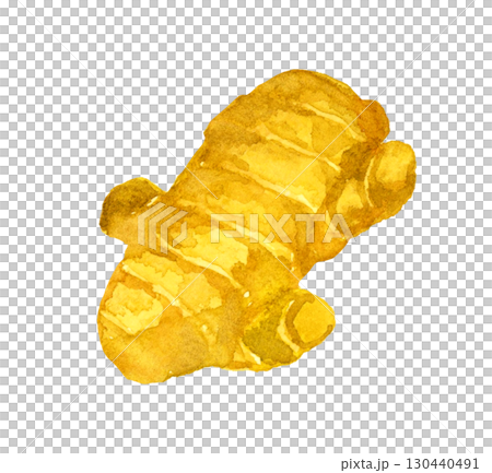 生薑(單品)手繪水彩畫蔬菜和調味品 生薑(單品)手繪水彩畫蔬菜和調味品 130440491