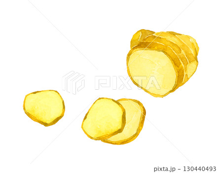 カット（スライス）した生姜　野菜・薬味の手描き水彩イラスト素材 130440493