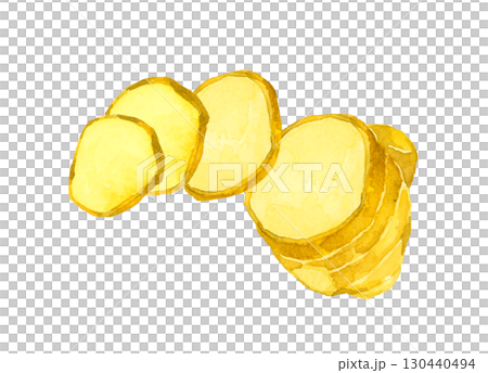 カット(スライス)した生姜 野菜・薬味の手描き水彩イラスト素材 カット(スライス)した生姜 野菜・薬味の手描き水彩イラスト素材 130440494
