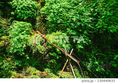 登山途中の水汲み場　安曇野 130440635