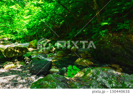延命水前の鳥川　安曇野 130440638