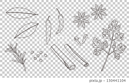 各種香料和草藥的線條插圖 130441104