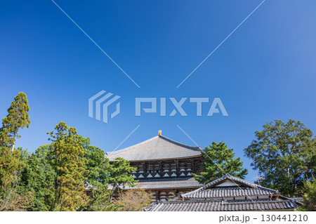 秋空の東大寺界隈 秋空の東大寺界隈 130441210