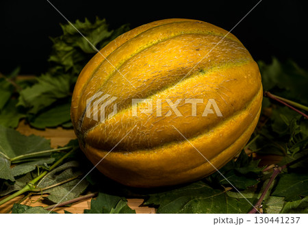 Golden Melon Still Life on a Dark Background Golden Melon Still Life on a Dark Background 130441237