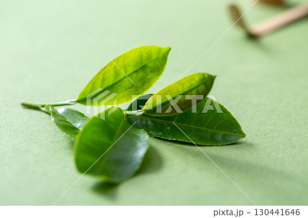 抹茶イメージ　茶葉と茶道具 130441646