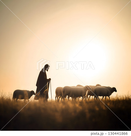 Jesus Christ as a shepherd leading sheep in a tranquil field at sunset in serene prayer 130441866