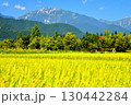 やしろ公園付近より蓮華岳方面を望む(長野県大町市)【2025.9】 130442284