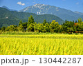 やしろ公園付近より蓮華岳方面を望む(長野県大町市)【2025.9】 130442287