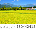 やしろ公園付近より蓮華岳～爺ヶ岳方面を望む(長野県大町市)【2025.9】 130442418