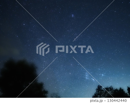 星空と風に揺れる木々のシルエット（20250827025548） 130442440