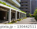 緑の多いオフィス街のエントランス 130442511