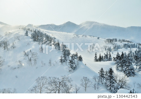 墨絵の世界 墨絵の世界 130442543