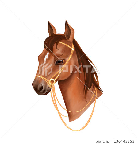 Hand-drawn illustration of a graceful horse head with a dark brown mane and a white stripe on its forehead elegant gold-like reins 130443553