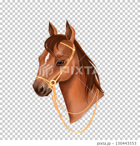 Hand-drawn illustration of a graceful horse head with a dark brown mane and a white stripe on its forehead elegant gold-like reins 130443553