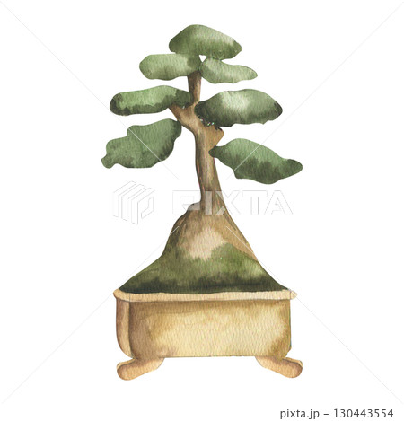 Bonsai tree watercolor illustration.Green small plant in ceramic pot clipart, isolated home jungle element, garden and floral painting for label,logo, card design. Tea ceremony oriental culture tree 130443554