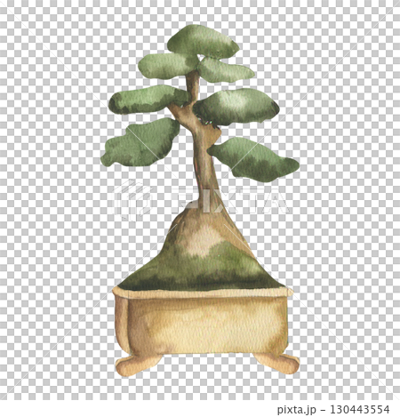 Bonsai tree watercolor illustration.Green small plant in ceramic pot clipart, isolated home jungle element, garden and floral painting for label,logo, card design. Tea ceremony oriental culture tree 130443554