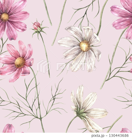 Pink and white cosmos flowers with green leaves. Watercolor botanical seamless pattern on pink background, suitable for wrapping paper, textile prints, various floral designs, floristry. Pink and white cosmos flowers with green leaves. Watercolor botanical seamless pattern on pink background, suitable for wrapping paper, textile prints, various floral designs, floristry. 130443686