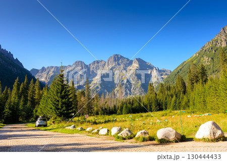 landscape with road path among spruce trees in high tatra mountains. forest nature environment of poland on a summer morning landscape with road path among spruce trees in high tatra mountains. forest nature environment of poland on a summer morning 130444433