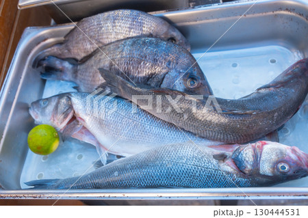 Freshly caught fish lie in a stainless steel sink next to a lime. The image highlights the freshness and quality of the fish, perfect for cooking enthusiasts or culinary presentations Freshly caught fish lie in a stainless steel sink next to a lime. The image highlights the freshness and quality of the fish, perfect for cooking enthusiasts or culinary presentations 130444531