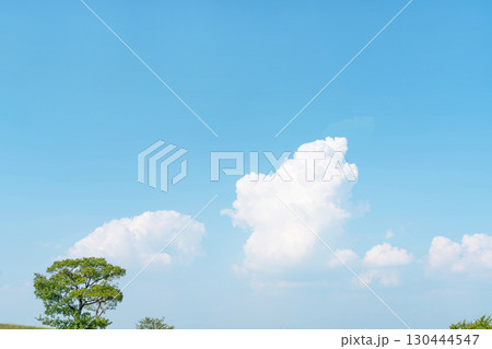 青空と雲と木立 130444547