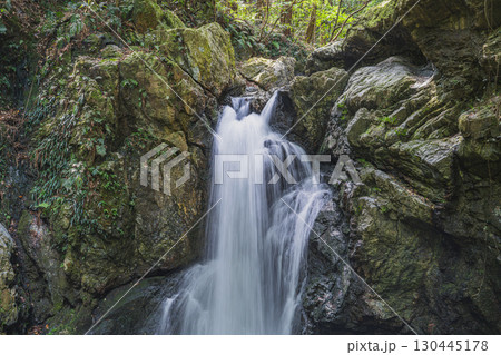 浜松市の仙厳の滝の風景(静岡県) 浜松市の仙厳の滝の風景(静岡県) 130445178