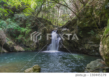 浜松市の仙厳の滝の風景(静岡県) 130445179