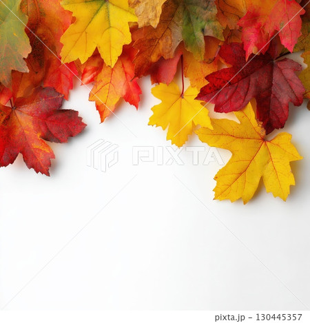 Autumn Leaves on White Background 130445357
