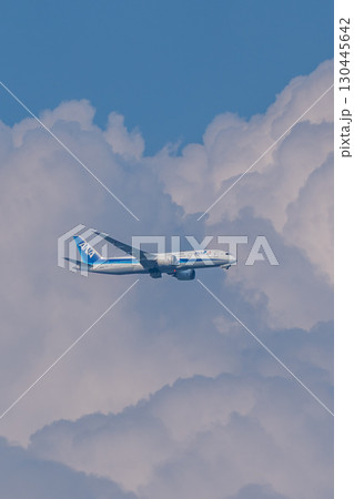 入道雲をバックに優雅に飛ぶANA機 130445642