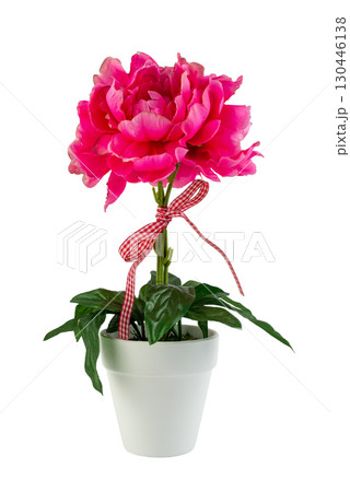 A detailed studio shot of a lush artificial pink flower in a white pot on a white background 130446138