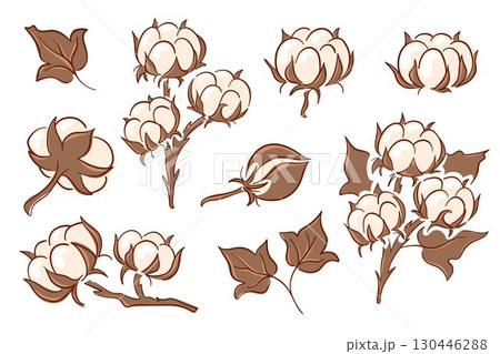 Flat style illustration set of cotton plant with fluffy boll and leaf isolated on white background. Agriculture collection textile and natural fiber concept. Flat style illustration set of cotton plant with fluffy boll and leaf isolated on white background. Agriculture collection textile and natural fiber concept. 130446288
