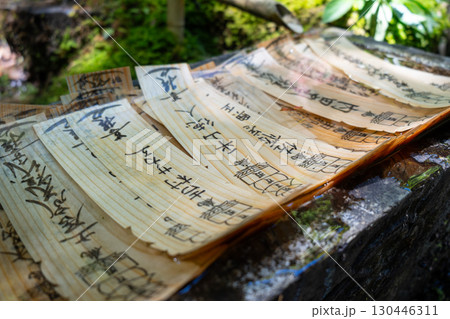 Water-soaked omikuji at Mitaki-Dera temple in Hiroshima, Japan Water-soaked omikuji at Mitaki-Dera temple in Hiroshima, Japan 130446311