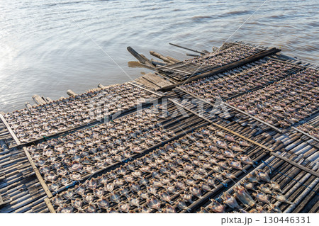 Drying fish on traditional floating house, Lake Tempe, Indonesia 130446331