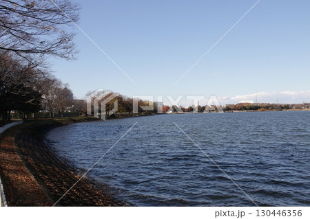 埼玉県久喜市の久喜菖蒲公園の風景 130446356