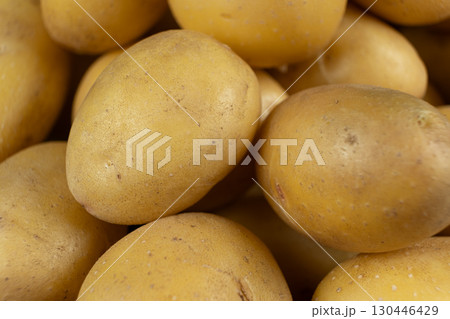 Fresh Raw Unpeeled Potatoes Close-Up, Natural Farm Vegetables. 130446429