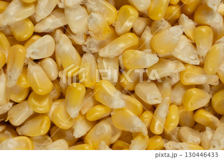 Fresh Raw Corn Kernels Macro Top View Texture Fresh Raw Corn Kernels Macro Top View Texture 130446433