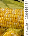 Fresh raw ripe corn cob with bright kernels macro 130446434