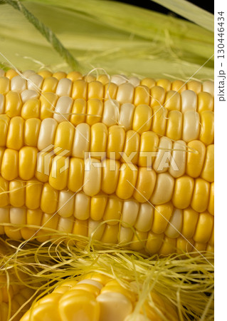 Fresh raw ripe corn cob with bright kernels macro Fresh raw ripe corn cob with bright kernels macro 130446434