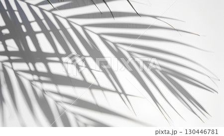 White background with shadow of palm leafs. background concept 130446781