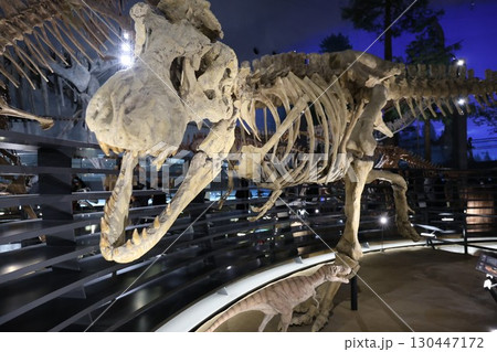 巨大な恐竜の模型 130447172