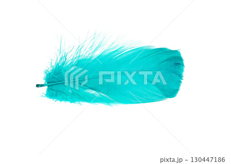 Colored goose feathers. Large bird feathers Colored goose feathers. Large bird feathers 130447186
