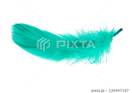 Colored goose feathers. Large bird feathers 130447187