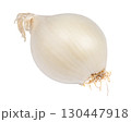 White onion bulb isolated on white background. 130447918
