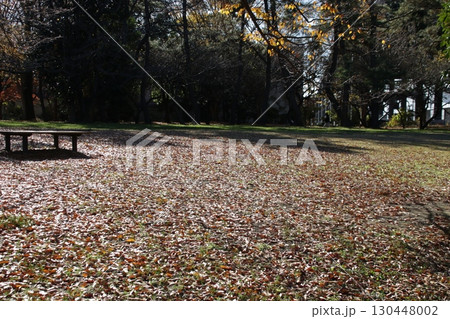 一面の落ち葉で覆われた広場 130448002