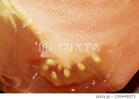 Abstract Tomato Slice Cut in half showing seeds on White Background Abstract Tomato Slice Cut in half showing seeds on White Background 130448073