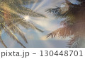 Bright sunlight filters through palm leaves on a clear sky day at the beach 130448701