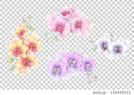 Watercolor orchid flower set. Hand-painted vibrant floral illustration. Elegant petals and buds. Perfect for floral design, cards, fabric prints, stationary 130449331