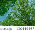 大阪城内の新緑の木々と青空のある風景 130449467
