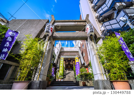 日本の東京都市景観 新橋・烏森神社などを望む 日本の東京都市景観 新橋・烏森神社などを望む 130449788