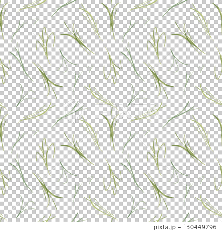 Fresh Spring Grass Seamless Pattern isolated. Hand painted watercolor meadow grasses in soft spring greens. Delicate brushstrokes scattered lines. Minimalist botanical wild herb repeat background. Fresh Spring Grass Seamless Pattern isolated. Hand painted watercolor meadow grasses in soft spring greens. Delicate brushstrokes scattered lines. Minimalist botanical wild herb repeat background. 130449796