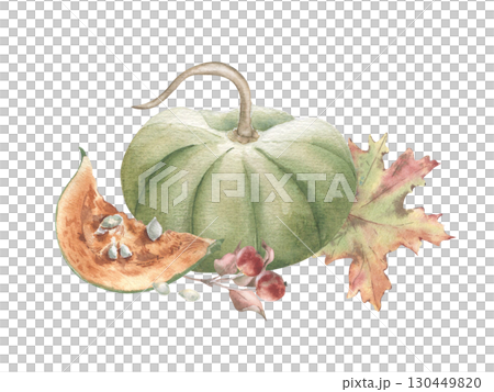 Watercolor large green pumpkin with piece, maple leaf and apples on branch illustration isolated. Soft pastel botanical autumn sketches hand drawn. Autumn seasonal vegetables painted neutral colors. 130449820